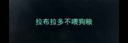 拉布拉多不喂狗粮