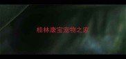 桂林康宝宠物之家