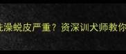 金毛2个月不洗澡蜕皮严重资深训犬师教你正确护理方法