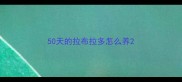 50天的拉布拉多怎么养