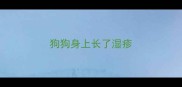 狗狗身上长了湿疹