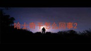 哈士奇干怎么回事