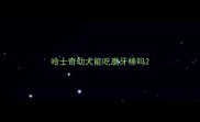 哈士奇幼犬能吃磨牙棒吗