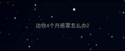 边牧4个月感冒怎么办