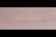 买拉布拉多犬注意什么