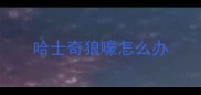 哈士奇狼嚎怎么办