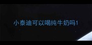 小泰迪可以喝纯牛奶吗