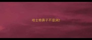 哈士奇鼻子不湿润