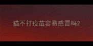 猫不打疫苗容易感冒吗