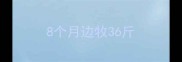 8个月边牧36斤