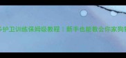 拉布拉多护卫训练保姆级教程新手也能教会你家狗狗守护小家
