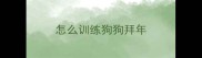 怎么训练狗狗拜年