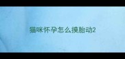 猫咪怀孕怎么摸胎动