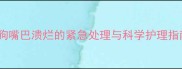 小狗嘴巴溃烂的紧急处理与科学护理指南