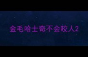 金毛哈士奇不会咬人