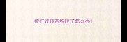 被打过疫苗狗咬了怎么办