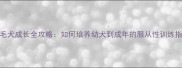 金毛犬成长全攻略如何培养幼犬到成年的服从性训练指南