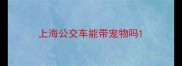 上海公交车能带宠物吗