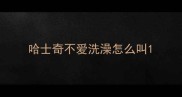 哈士奇不爱洗澡怎么叫