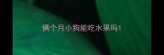 俩个月小狗能吃水果吗