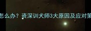 哈士奇吃饭前狂叫怎么办资深训犬师3大原因及应对策略附训练教程