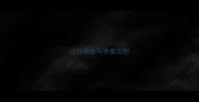 边牧喂食与体重比例