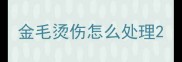 金毛烫伤怎么处理