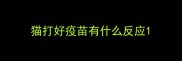 猫打好疫苗有什么反应