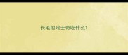 长毛的哈士奇吃什么