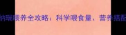 四五个月雪纳瑞喂养全攻略科学喂食量营养搭配与注意事项