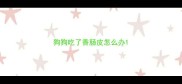 狗狗吃了香肠皮怎么办