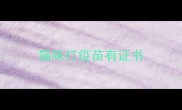 猫咪打疫苗有证书