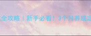 哈士奇笼养训练全攻略新手必看3个月养成定点如厕小天使