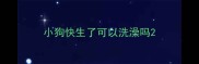 小狗快生了可以洗澡吗