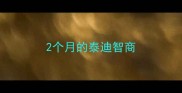 2个月的泰迪智商