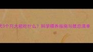 边境牧羊犬3个月大能吃什么科学喂养指南与禁忌清单附食谱
