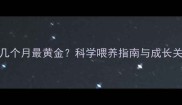 泰迪犬几个月最黄金科学喂养指南与成长关键期全