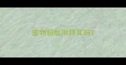 宠物貂能用拜耳吗