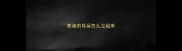 泰迪的耳朵怎么立起来