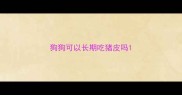 狗狗可以长期吃猪皮吗