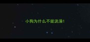 小狗为什么不能洗澡