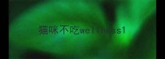 猫咪不吃wellness