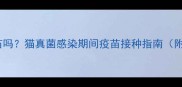 猫癣期间能打疫苗吗猫真菌感染期间疫苗接种指南附详细用药方案