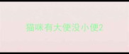 猫咪有大便没小便