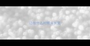 边牧什么时候头长宽