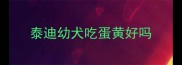 泰迪幼犬吃蛋黄好吗