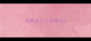恶霸犬几个月喂肉