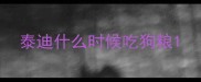泰迪什么时候吃狗粮