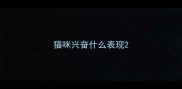 猫咪兴奋什么表现