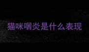 猫咪咽炎是什么表现